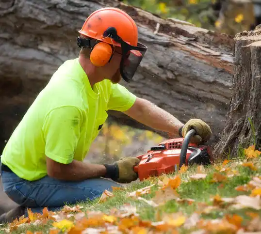 tree services Mississippi State